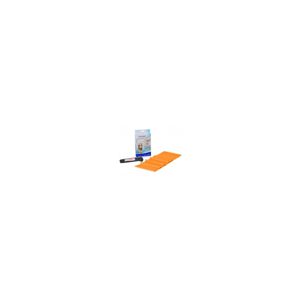 Sanctband Trainings-Set, 2m Band und Türanker - extra stark Sanctband Trainings-Set, 2m Band und Türanker - extra stark