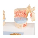Osteoporose Modell des 11. und 12. Brustwirbels