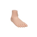 Fussmodell Plattfuss Fussmodell Plattfuss