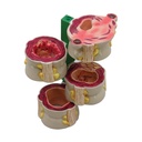 4-teiliger Dickdarm mit Pathologien