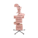 Torso Modell mit 15 Schnittebenen Torso Modell mit 15 Schnittebenen