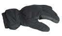 Blackhawk Winterhandschuh ECW 2 Schwarz - L