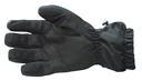 Blackhawk Winterhandschuh ECW 2 Schwarz - L