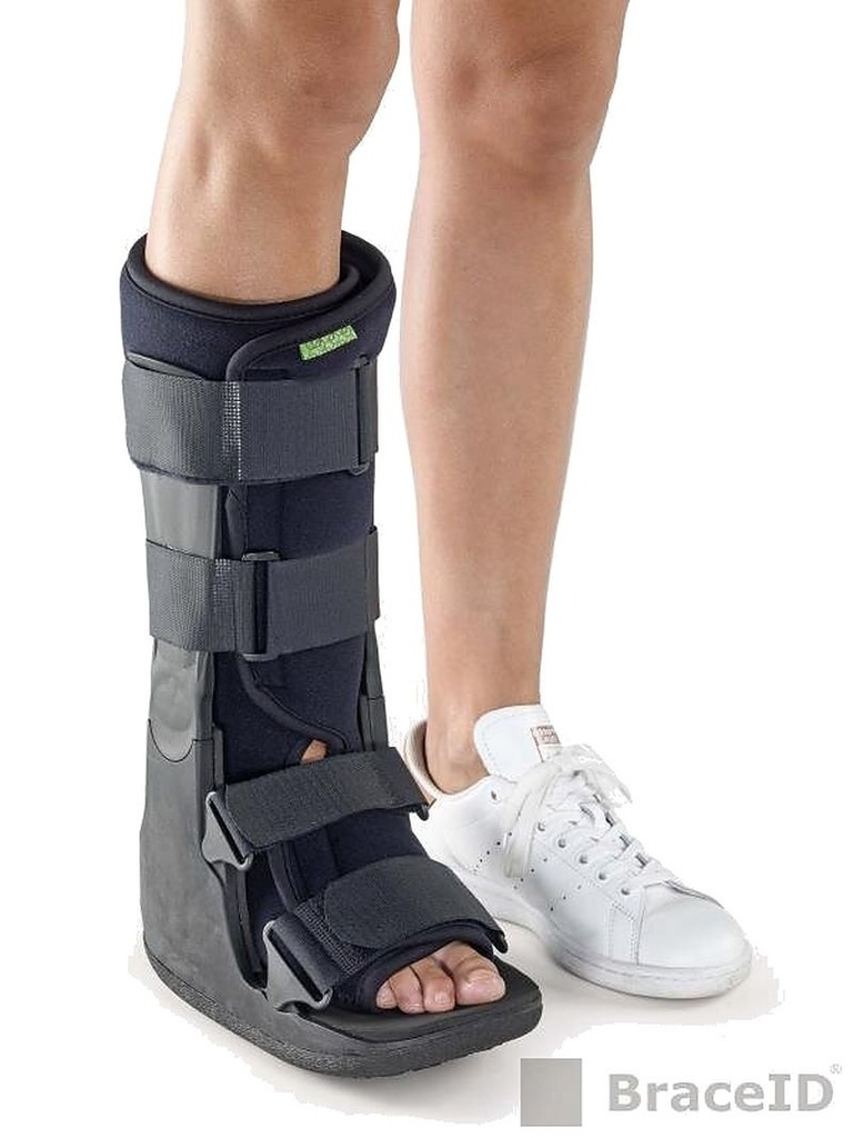 Hi Regular Walker Standart Liner - L