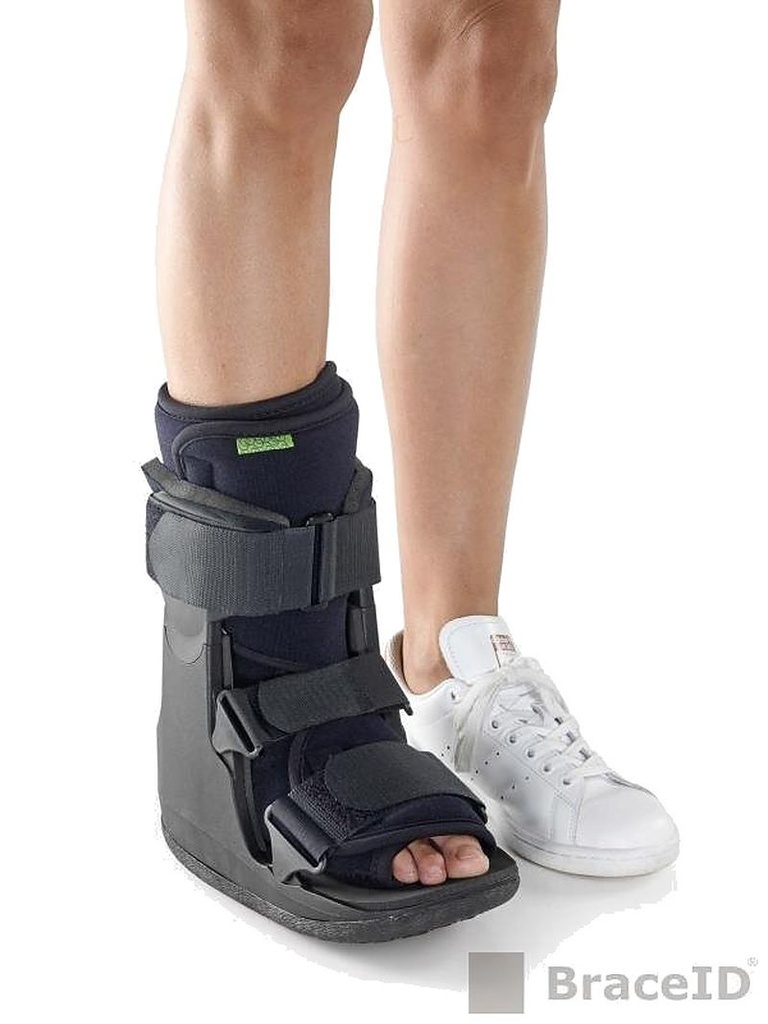 Low Shield Walker Standart Liner - L