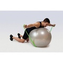 Sanctband Gymnastikball - Ø55cm