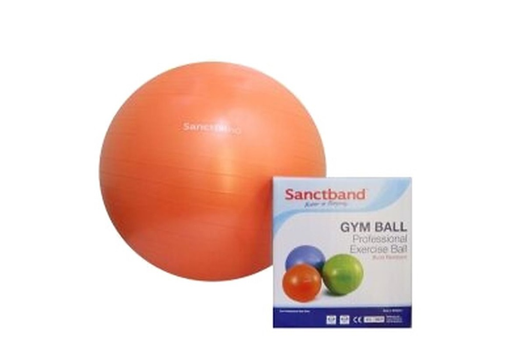 Sanctband Gymnastikball - Ø55cm