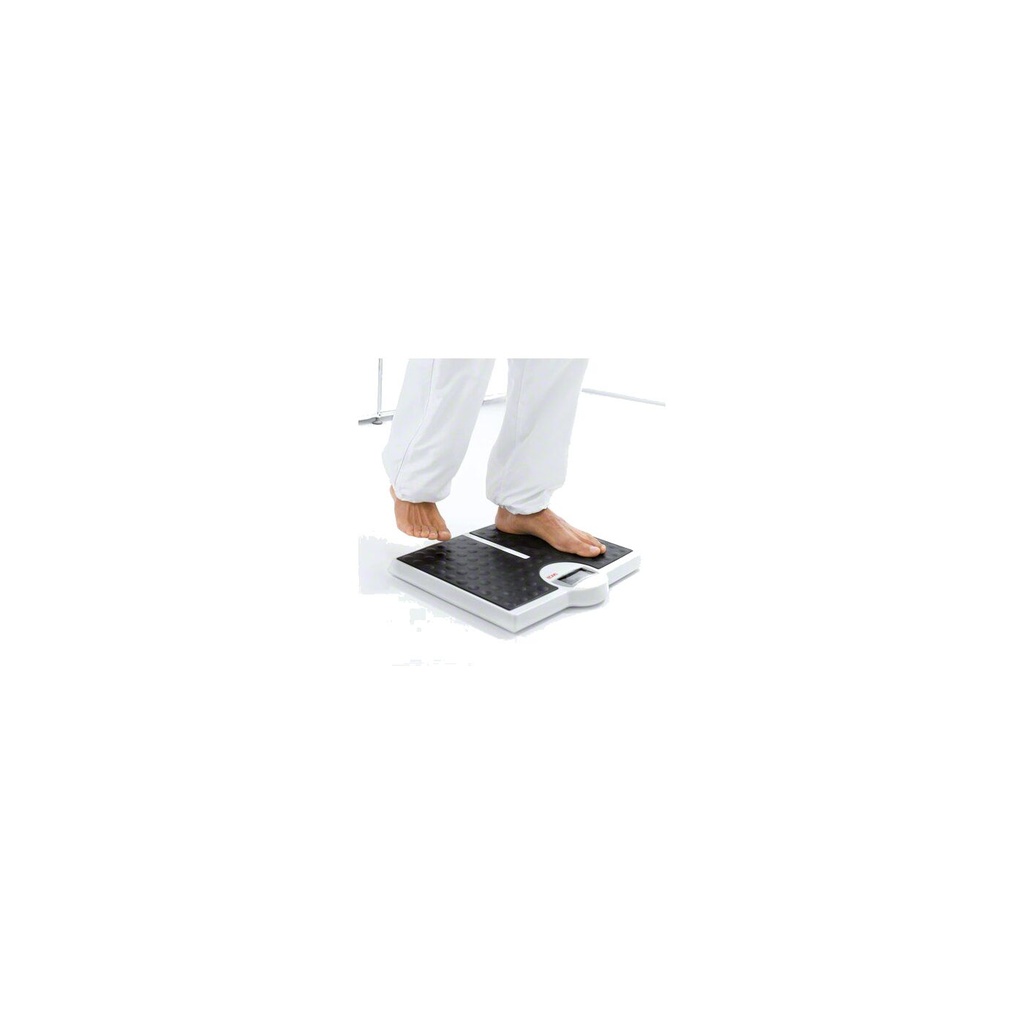 seca Personenwaage Robusta 813