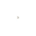 SealSkinz Thornham - fingerlose Woll-Handschuhe aus Merino - beige