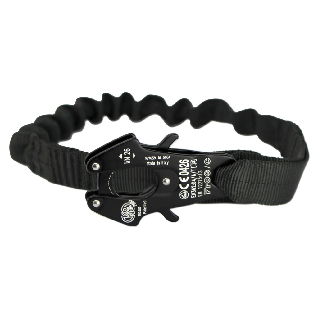 Zentauron Frog Lanyard