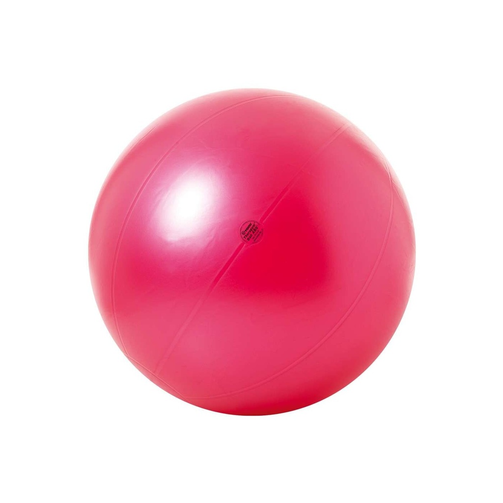 Theragym Ball ABS