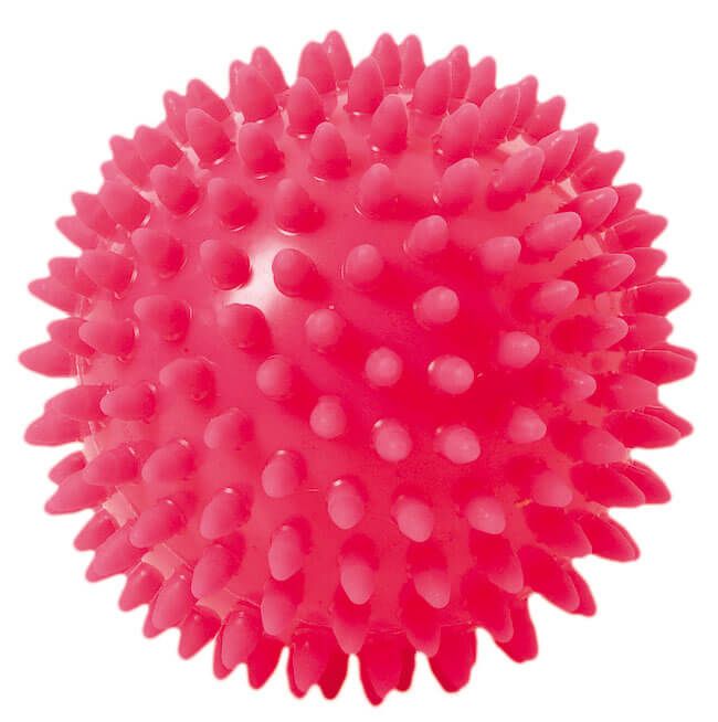 Togu Igelball mit Nadelventil