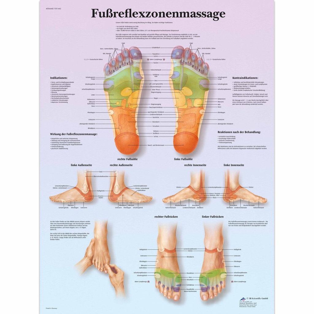 Lehrtafel - Fussreflexzonenmassage - Französisch - Papier