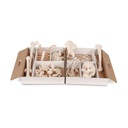 Unmontiertes halbes Skelett Modell, Knochen von Hand & Fuss , Lebensgross - auf Nylon