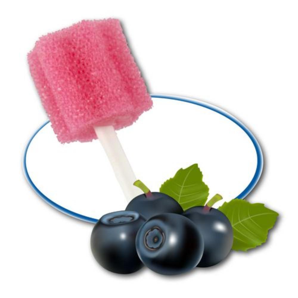 Mundpflegestäbchen - rosa - Johannesbeer