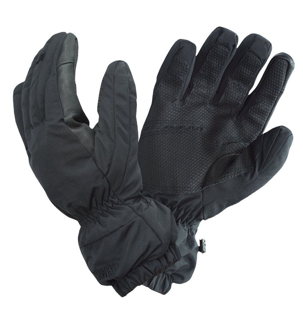 Blackhawk Winterhandschuh ECW 2 Schwarz - L
