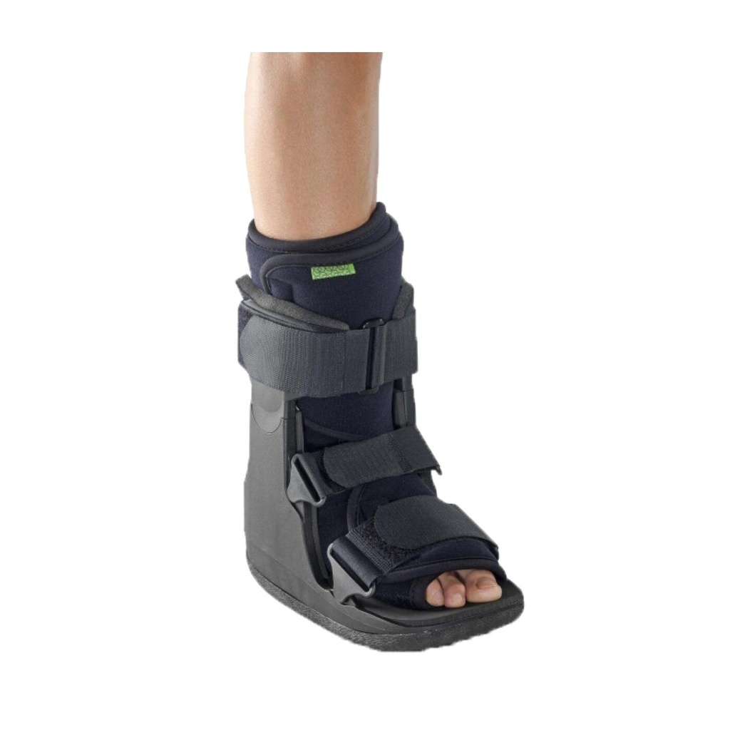 Short Regular Walker - M