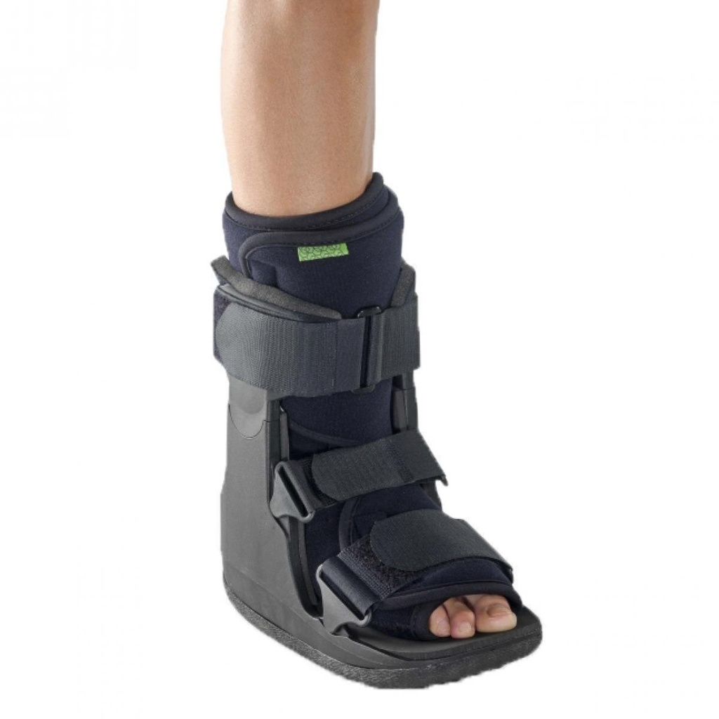 Short Regular Walker - S