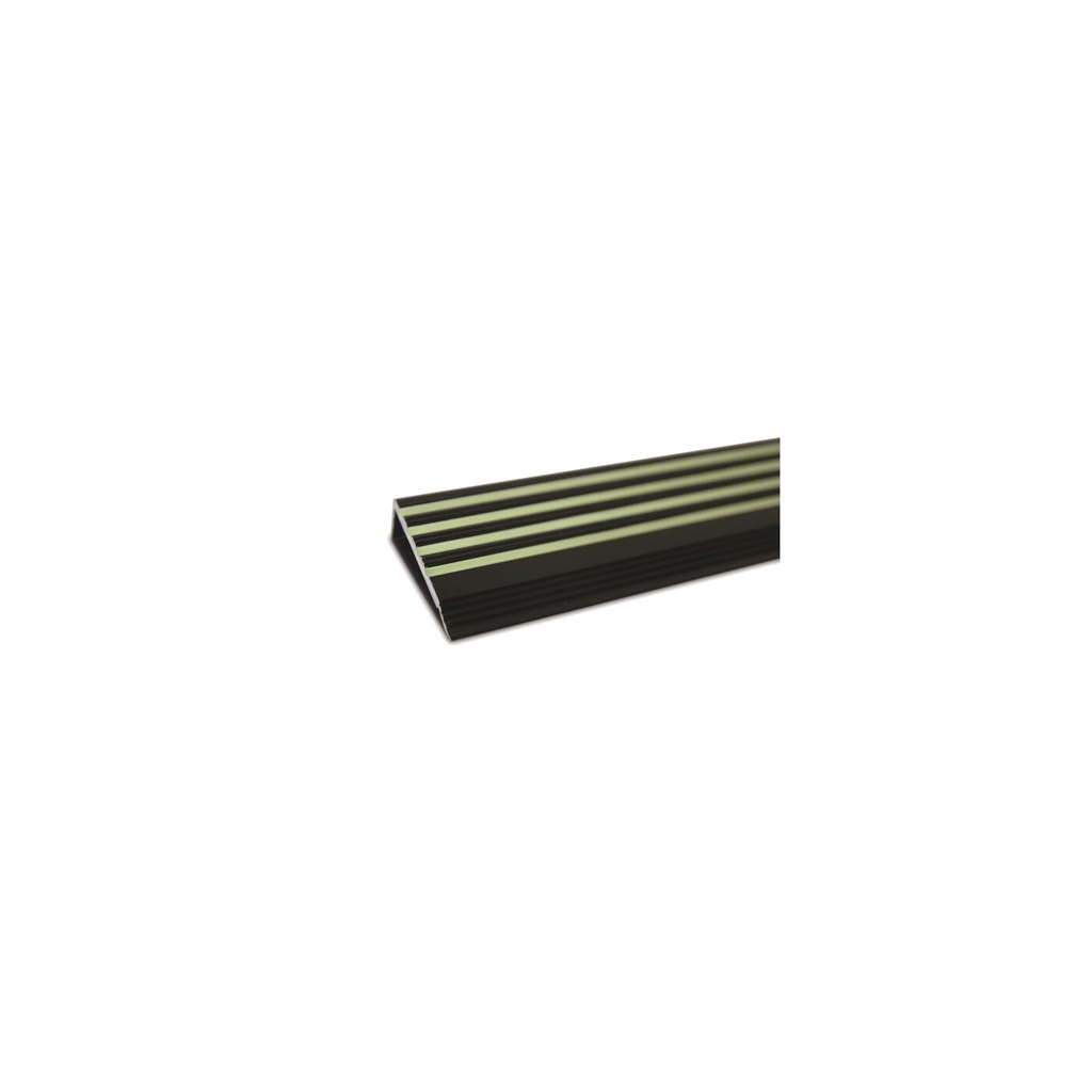 Everglow Treppenkantenprofile HI 450 25x60x100cm - schwarz