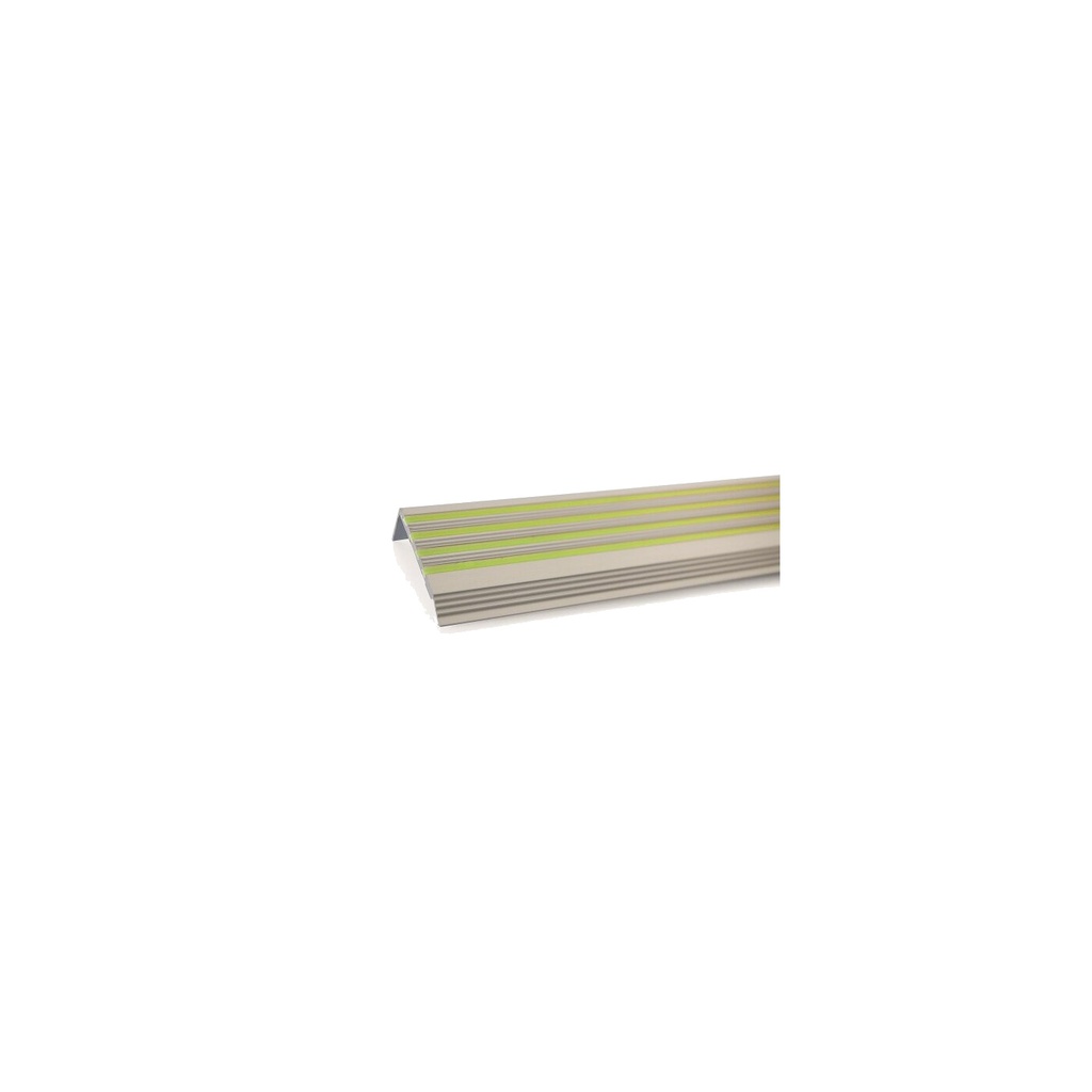 Everglow Treppenkantenprofile HI 450 25x60x100cm - silber
