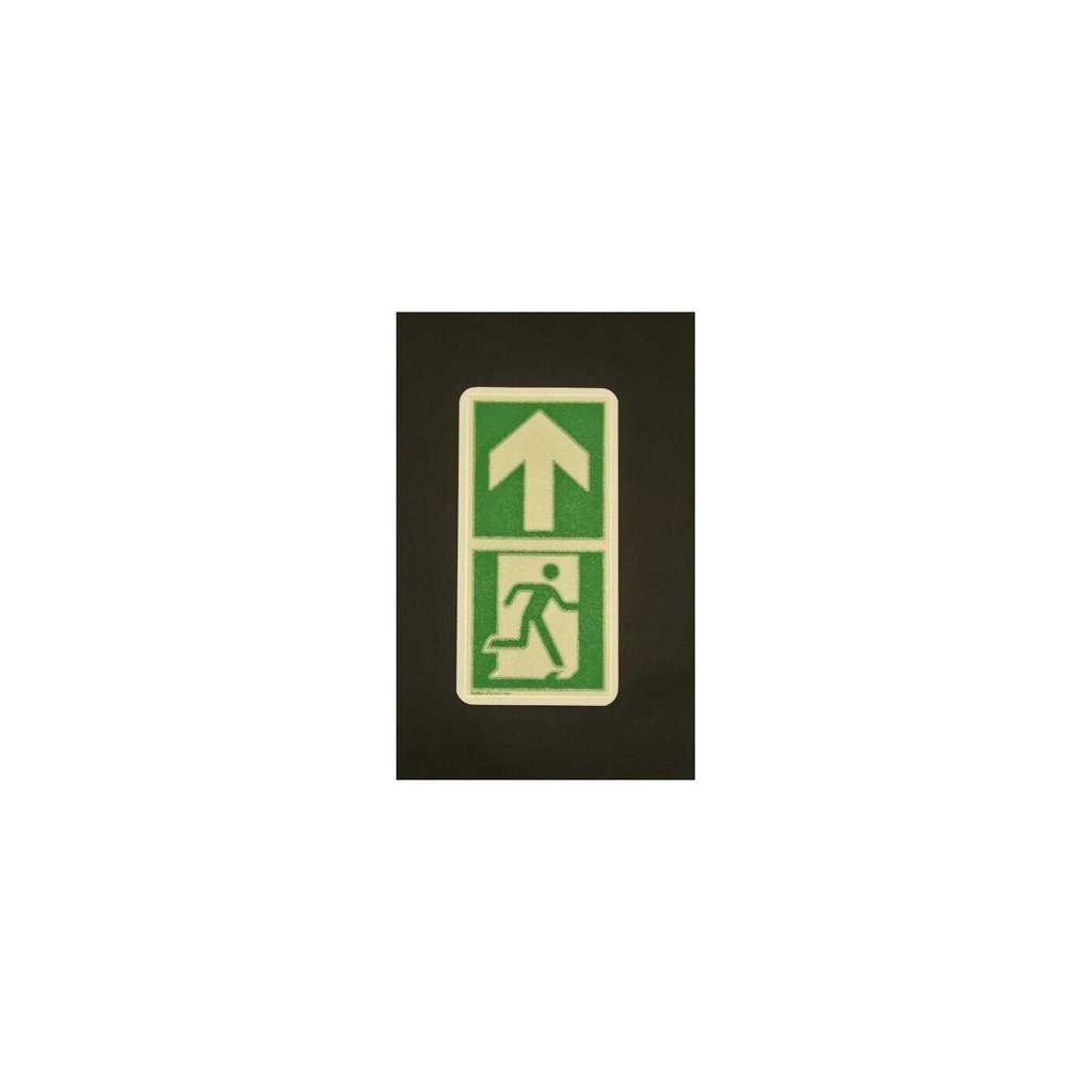 Everglow Fluchtwegsymbol Richtungspfeil 10x20cm selbstklebend