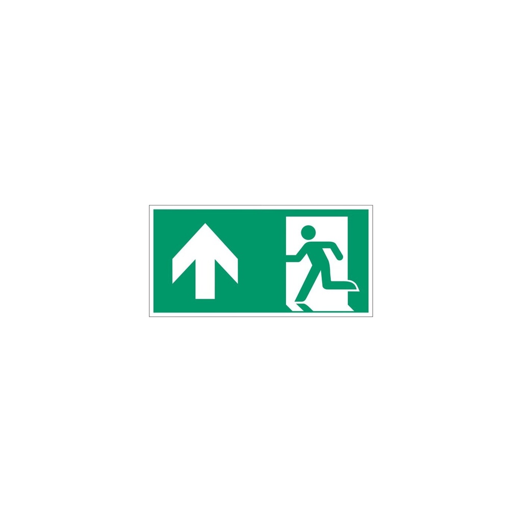 Everglow Rettungszeichen Schild Notausgang links  aufw. ohne Lichtkante - 30cm - 15cm