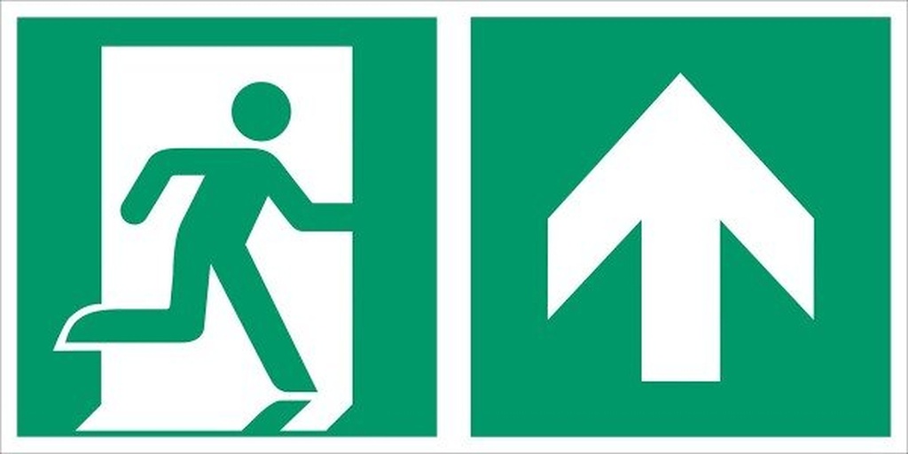 Everglow Rettungszeichen Schild Notausgang links und Pfeil hoch 20x40cm
