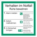 Everglow Rettungszeichen Schild Verhalten im Notfall 20x20cm