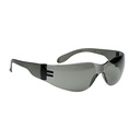 Bollé Schutzbrille Bl100